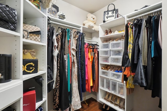 372 Overlook Dr, Oxford, MI 48371 - walk in closet with wood finished floors