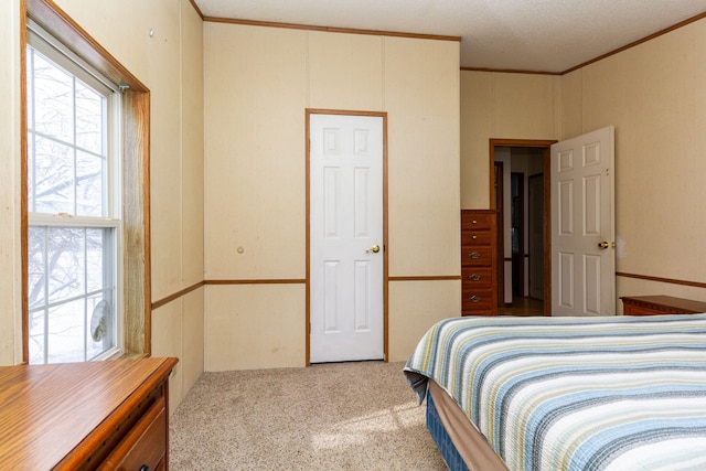 bedroom with crown molding and carpet floors