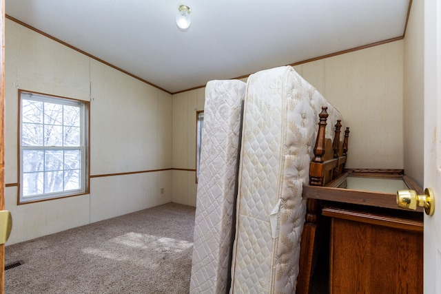 interior space with ornamental molding and lofted ceiling