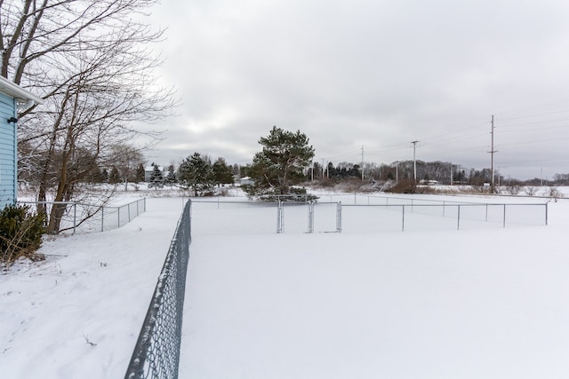 view of yard layered in snow