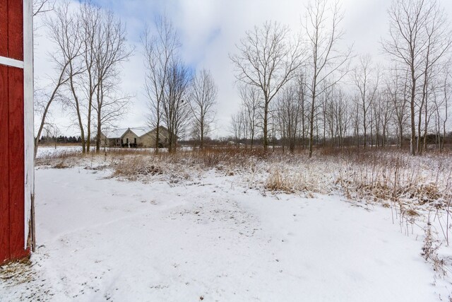 view of yard covered in snow