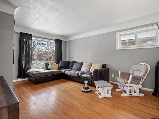 living room with light hardwood / wood-style flooring