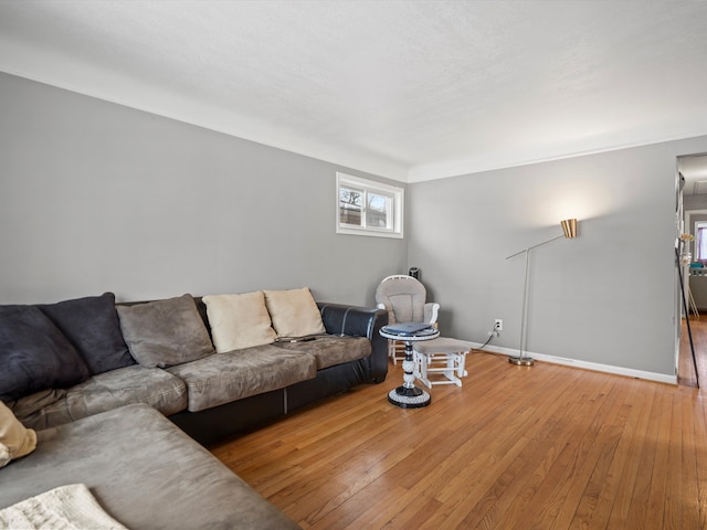 living room with light wood-type flooring