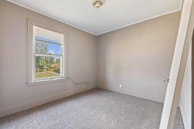 unfurnished room with carpet floors and ornamental molding