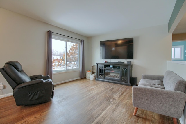 living room featuring light hardwood / wood-style floors