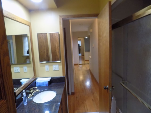 bathroom with hardwood / wood-style flooring and vanity