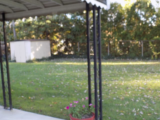 view of yard with a shed