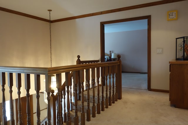 hallway with crown molding and carpet