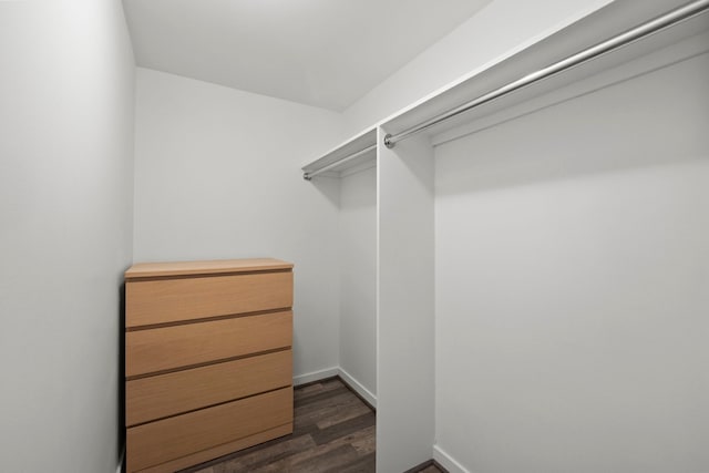 spacious closet featuring dark hardwood / wood-style flooring