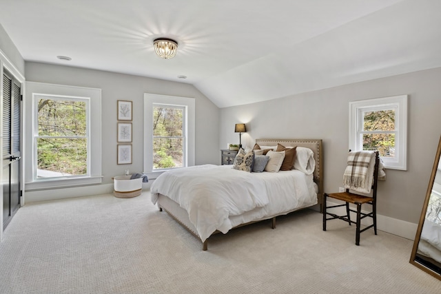 101 Carl Dr NE, Ada, MI 49301 - bedroom with light colored carpet and lofted ceiling