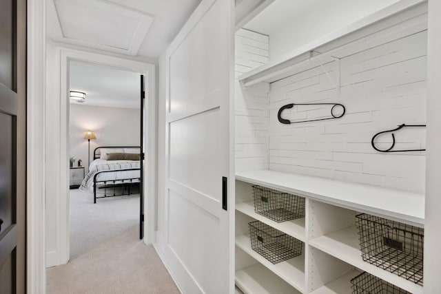 101 Carl Dr NE, Ada, MI 49301 - mudroom featuring light carpet and attic access