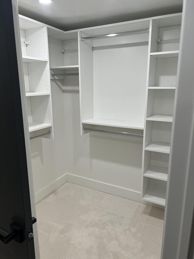 101 Carl Dr NE, Ada, MI 49301 - spacious closet with carpet floors