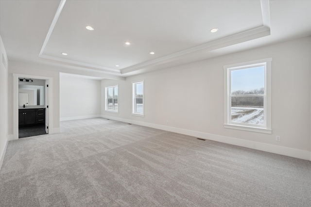 unfurnished living room with a tray ceiling and light colored carpet