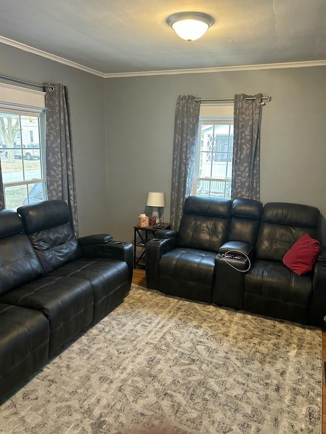 living room featuring crown molding and a wealth of natural light