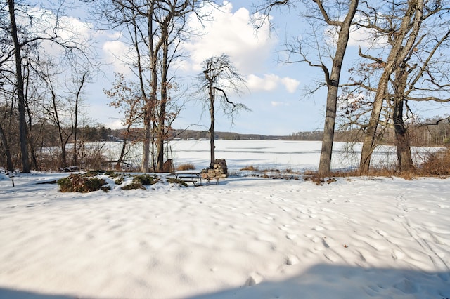 view of yard layered in snow