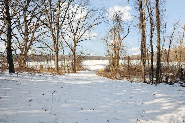 view of snowy yard