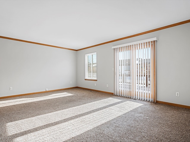 empty room with crown molding and carpet flooring