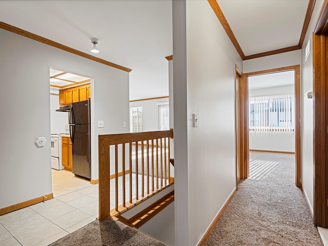 hall featuring crown molding and light colored carpet