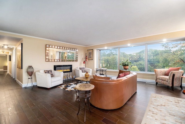 living room with crown molding and dark hardwood / wood-style floors