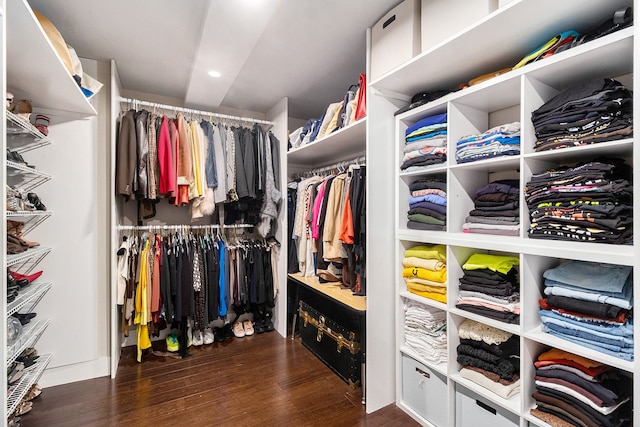 walk in closet featuring dark wood-type flooring