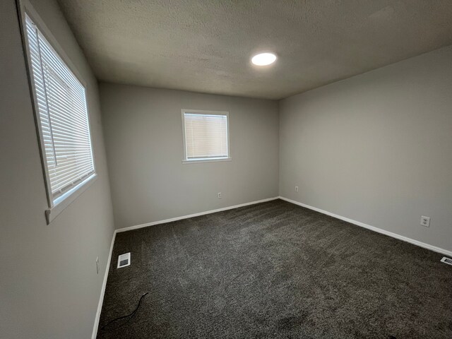 carpeted spare room with a wealth of natural light and a textured ceiling