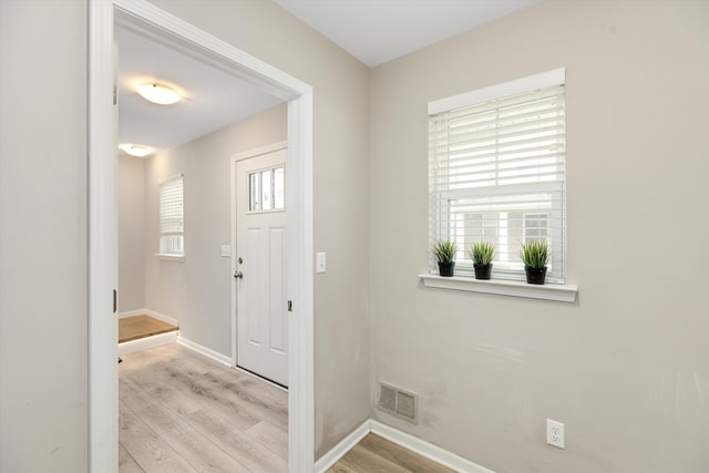 foyer entrance featuring light hardwood / wood-style floors and a wealth of natural light