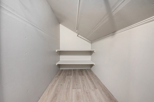 spacious closet featuring light hardwood / wood-style flooring