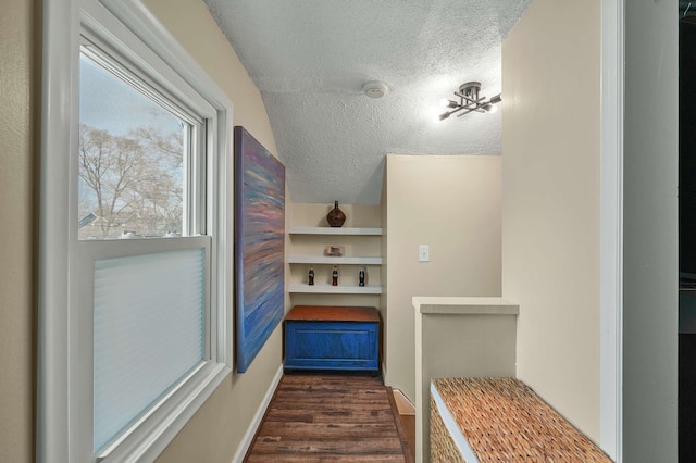 mudroom featuring lofted ceiling, dark hardwood / wood-style flooring, and a textured ceiling