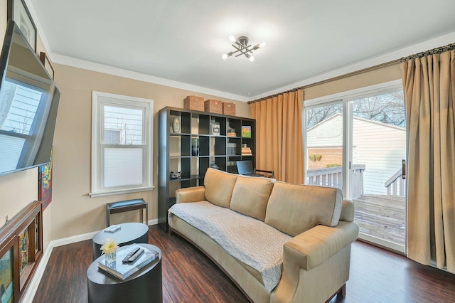 sitting room featuring crown molding and dark hardwood / wood-style flooring