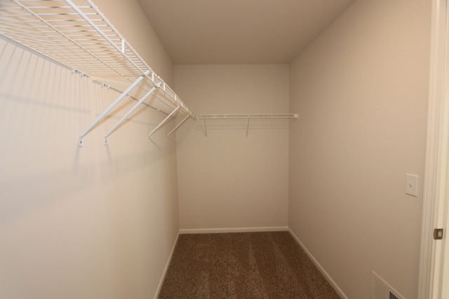 spacious closet featuring carpet flooring and visible vents