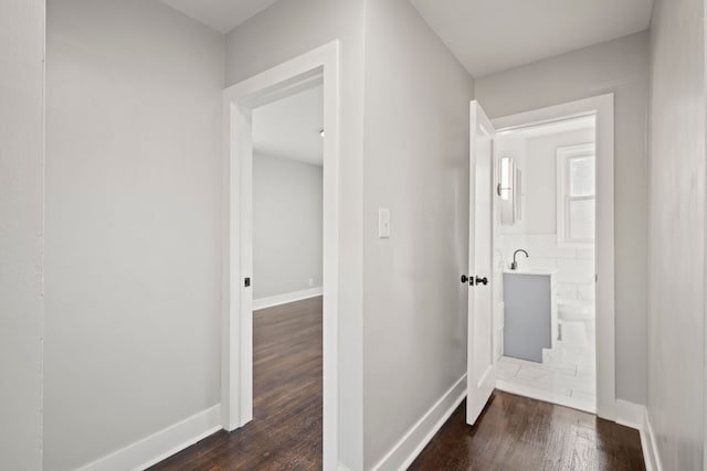 hall with dark hardwood / wood-style flooring