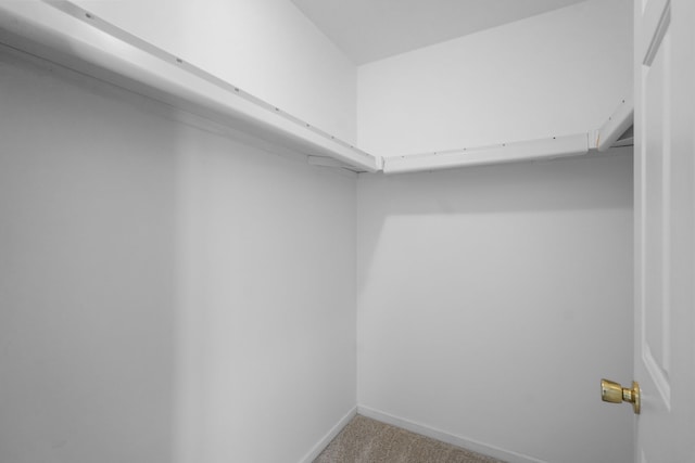 spacious closet with carpet flooring