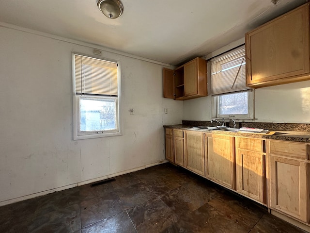 kitchen featuring sink