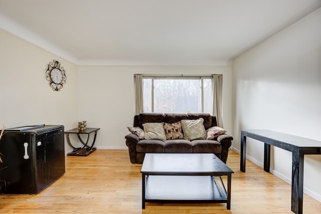 living room with light hardwood / wood-style floors