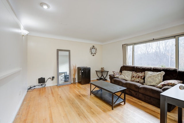 living room featuring crown molding and light hardwood / wood-style flooring