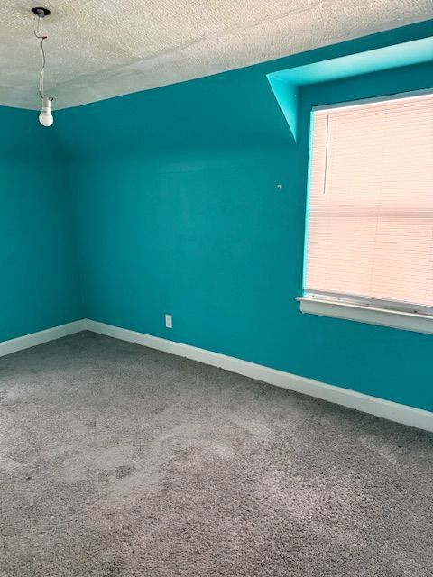 unfurnished room featuring a textured ceiling and carpet flooring