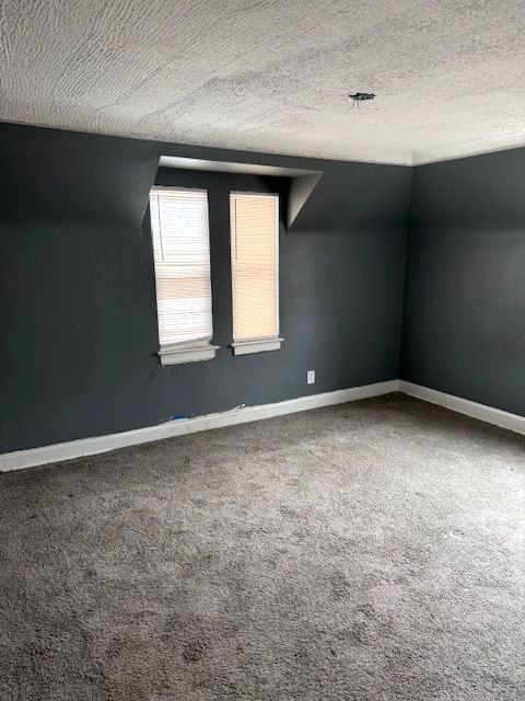 bonus room featuring vaulted ceiling, carpet, and a textured ceiling