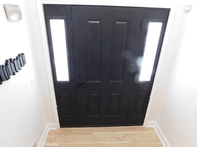 entrance foyer featuring a wealth of natural light and light hardwood / wood-style floors