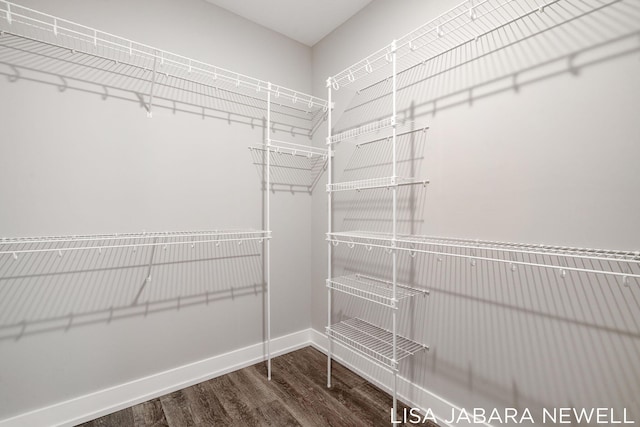 walk in closet with hardwood / wood-style floors