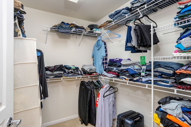 spacious closet with carpet