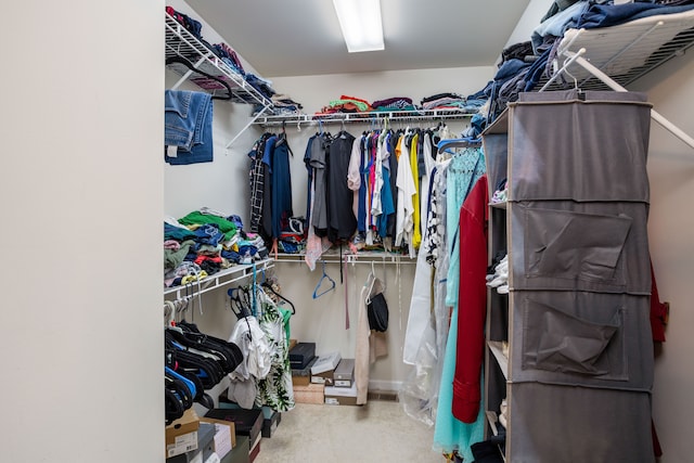 spacious closet featuring carpet flooring