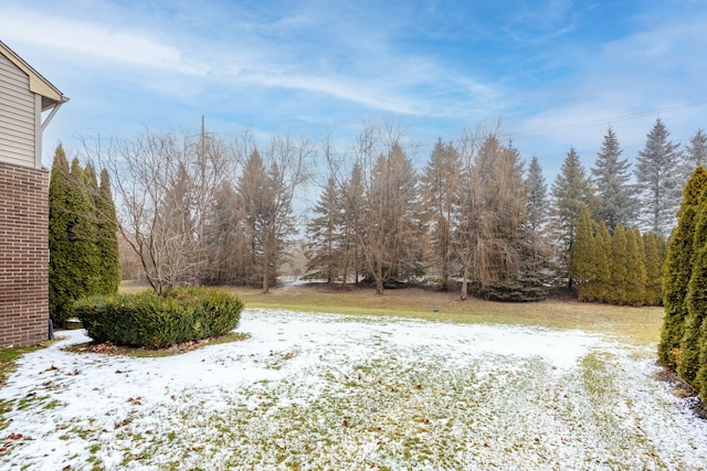 view of snowy yard