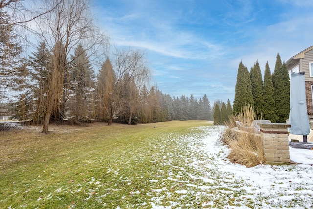 view of snowy yard