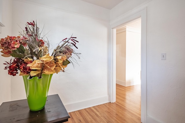 hallway featuring hardwood / wood-style floors