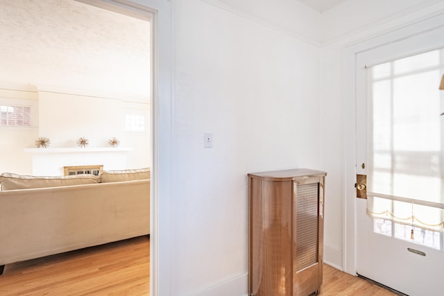 doorway featuring light hardwood / wood-style floors