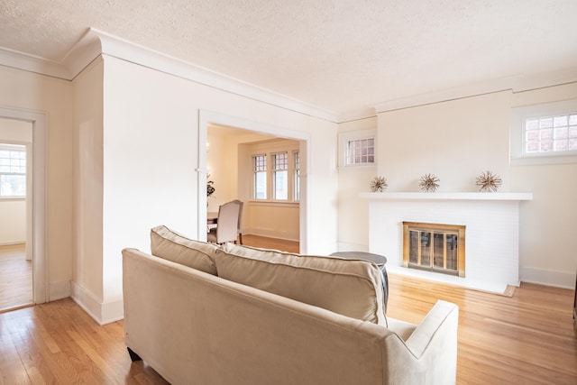 living room with a textured ceiling, a healthy amount of sunlight, and light wood-type flooring