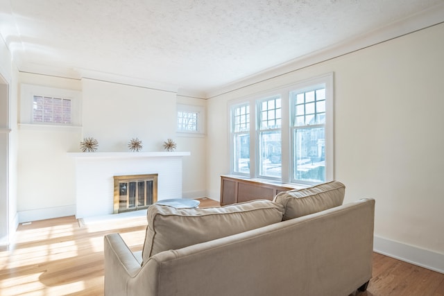 living room featuring ornamental molding, wood-type flooring, and a textured ceiling