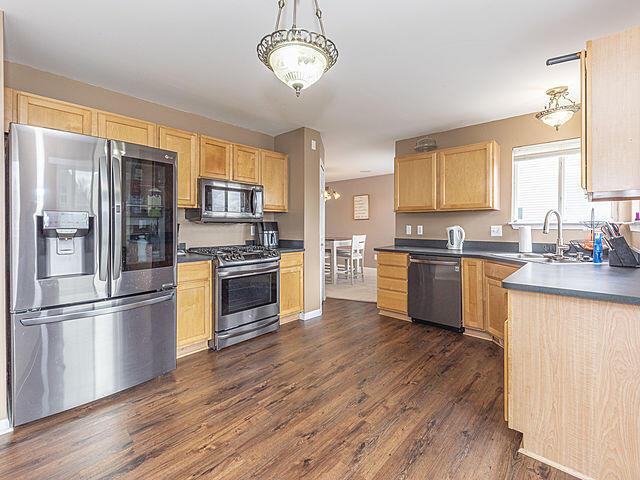 kitchen with appliances with stainless steel finishes, dark hardwood / wood-style flooring, light brown cabinetry, and sink