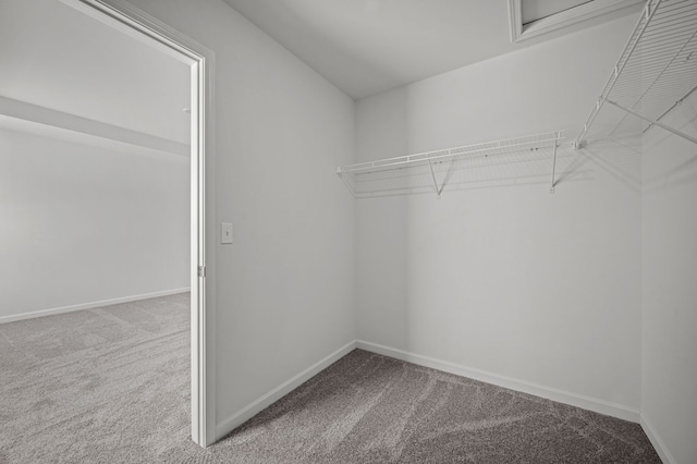 spacious closet featuring carpet floors