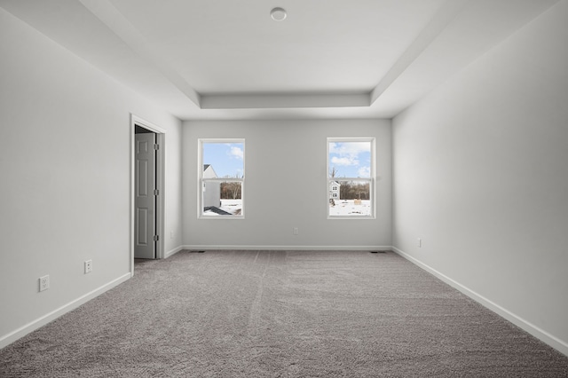 carpeted empty room with a raised ceiling and baseboards